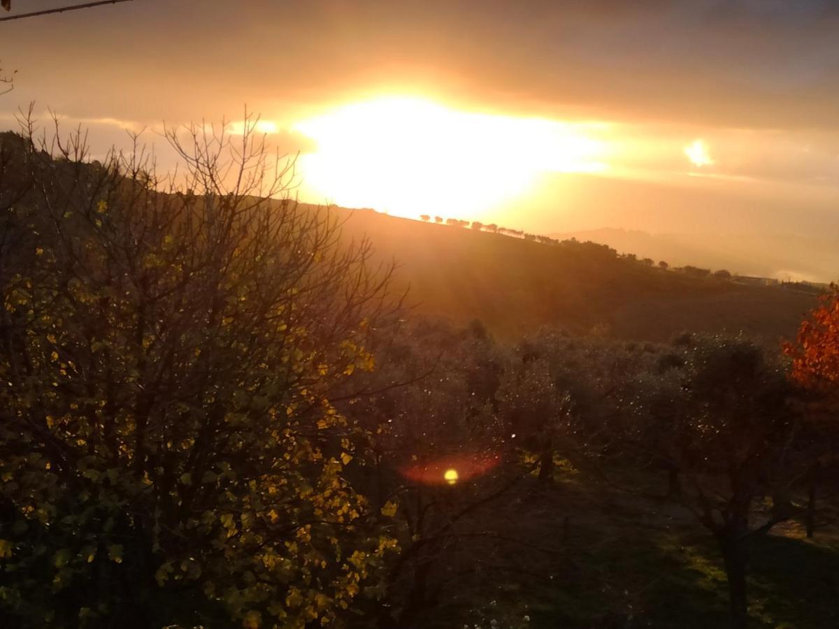 Bed and Breakfast Casale Del Tempo Lento Narni Esterno foto
